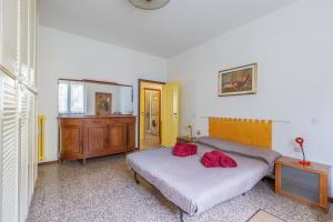Nido di città