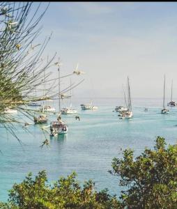 Gavriil Apartments Corfu - Seaview Getaway