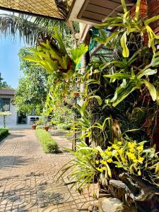 Homestay Buôn Mê 1