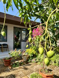 Homestay Buôn Mê 1