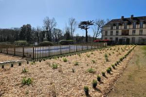 40 m apartment with balcony
