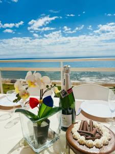 Magnifique appartement, 1 ère ligne, vue mer,