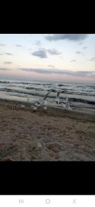 ЛУЗАНОВКА-ЖЕМЧУЖИНА У Моря-ПРИЕЗЖАЙТЕ