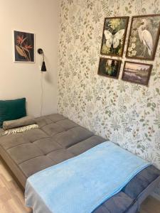 City centre one room apartment