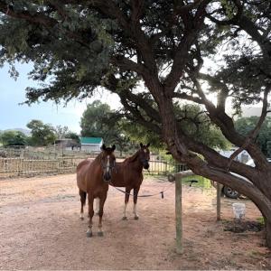 Hooves and Gardens - Aris Horse Riding