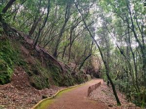 Casa Calma II Tranquilidad en Tenerife Norte