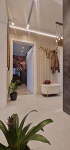 Moft Plaza 3,71 by DiaDOR rentals