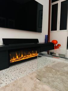 Appartement Élégance Lyon cité internationale