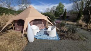 Witte Merel Glamping