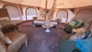 Witte Merel Glamping