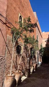 Casa Saba Riad exclusif avec rooftop et bassin privé