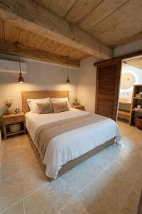Loft en pierre Cœur des Alpilles 6min Eygalières