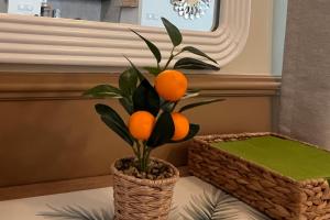 The Orangery - Private Mansion - Villa Beauregard