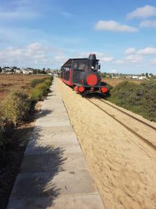 Pedras Del Rei Olive Tree