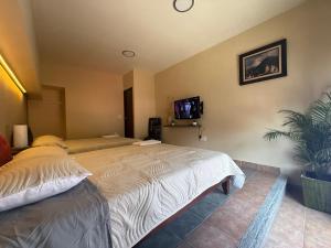 1 Centrico y lujoso apartamento en Atlíxco