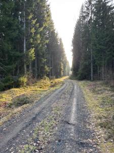 Torpidyll nära sjö