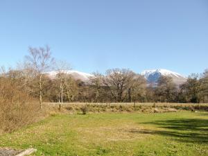 Birch Lodge - 28880