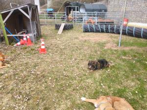 Simple 2-Person Apartment near Altdorf