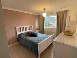 House - Sleeps 6 - Private Garden & Parking