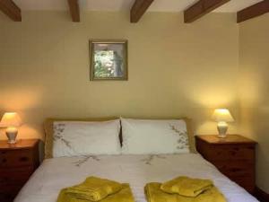 Bwthyn Strathmore - Charming 18th-Century Cottage in Solvas Heart