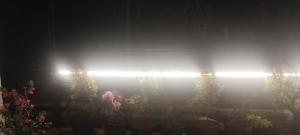 White Oasis Residence Vythiri 3 star