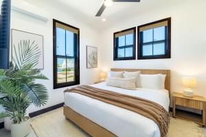 Lewie Land and Mistico Beach Club plus Boat Shuttle