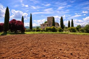 Scappo in Umbria, Torre Angelina