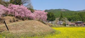春日光 HaruNikko Guesthouse - Traditional Japanese Guesthouse with Japanese Garden