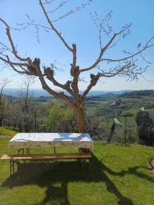 Al Colle Rooms