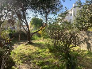 SA FraDa img22