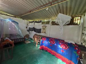 Jungle Room