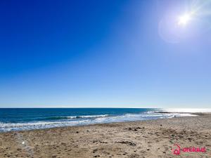 Playa Dorada Vibes 1