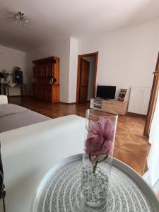 Teresa Domo de Sa Mama img35