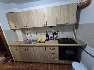 Apartament 1 Mai 2 camere