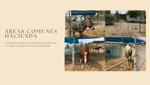 Casa de Campo Valentina - Hacienda San Andrés