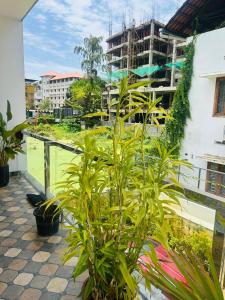 New Central Kochi Living - Kaloor