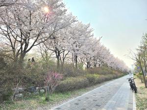 Hej hi home#Lotte World Jamsil#Lotte Tower,#KSPO Dome#JYP#COEX#Asan Medical Center#Song-Su