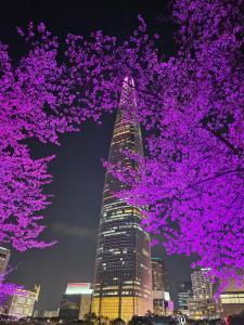 Hej hi home#Lotte World Jamsil#Lotte Tower,#KSPO Dome#JYP#COEX#Asan Medical Center#Song-Su