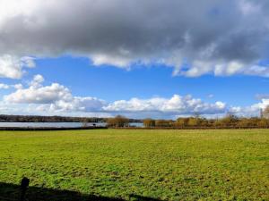 Vue sur létang et les vaches