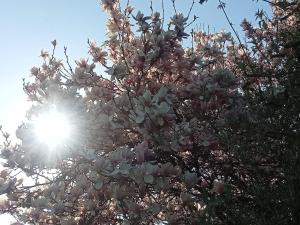 La Parenthèse gîte à la campagne