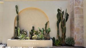 D Luxury Villas Phu Quoc