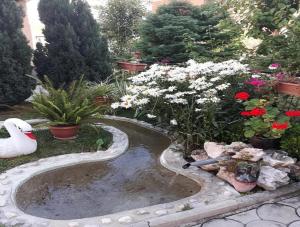 Apartments Tomic