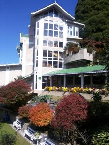 Cedar Inn