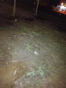 Apartamento Silva no oceano