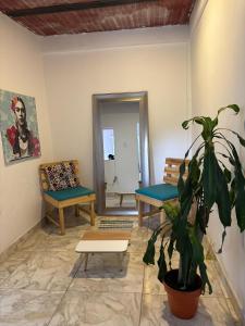 Minca nomada 517 de la sierra