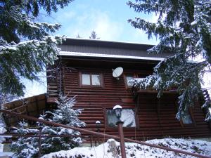 Cabana Dochita 2