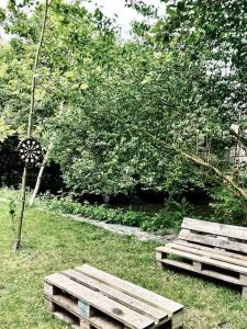 Cabane au coeur des Hortillonnages dAmiens