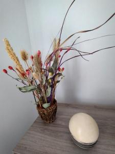 Moderno departamento en el corazón de Alta Córdoba