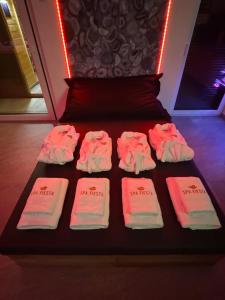 App & big jacuzzi & EV charging