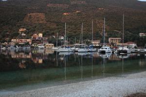 Asterida Lefkada Greece